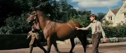 War Horse Trailer | BahVideo.com