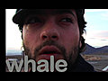 Indies for Indies Whale | BahVideo.com