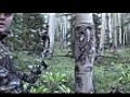 Best Whitetail Hunting Video BACK Outdoors Bow  | BahVideo.com