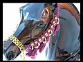 My Arabian Halters by val2005horse  | BahVideo.com