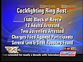 Cockfighting Ring Bust In East Bakersfield | BahVideo.com