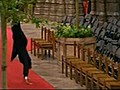 L acrobatie post-mariage royal fait un buzz  | BahVideo.com