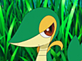 Snivy s Attract | BahVideo.com