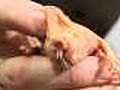 Mole rats key to human longevity  | BahVideo.com