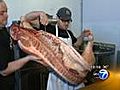 Old-school butcher shop hopes to spark trend | BahVideo.com