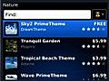 How to Apply a Theme on Your BlackBerry | BahVideo.com
