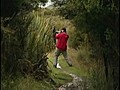 New Zealand birds are a little camera shy | BahVideo.com