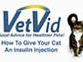 How To Give Your Cat an Insulin Injection - VetVid Episode 021 | BahVideo.com
