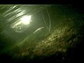 Electroshocking and Fish Survey on Utah s Green River | BahVideo.com