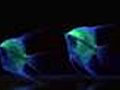 Glowing new fluorescent angelfish | BahVideo.com