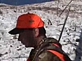 Colorado Mule Deer Hunt During Rut | BahVideo.com