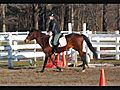 horses amp riding clips 09-10 | BahVideo.com