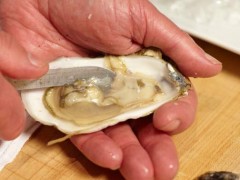 How to Shuck Oysters | BahVideo.com