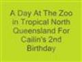 Jason amp Jodie Travel Oz - 8 Cairns  | BahVideo.com