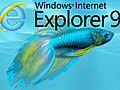 A First Look at Internet Explorer 9 Beta | BahVideo.com