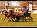 Vaardigheidswedstrijd Mennen paarden | BahVideo.com