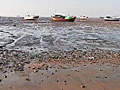 Mundra port accused of destroying Mangroves | BahVideo.com