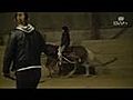 Equitation Ramillies Belgique | BahVideo.com