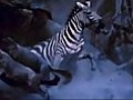 Royksopp - Triumphant Cool Video Blue Evolution | BahVideo.com