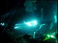 Manta Ray Dive | BahVideo.com