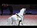 Horse - SHOW | BahVideo.com