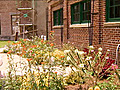Restoration Garden | BahVideo.com
