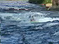 Royalty Free Stock Video HD Footage Kayak  | BahVideo.com