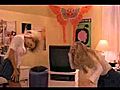 Pamela Anderson Funny Crazy Action in Scary movie 3 | BahVideo.com