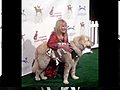 North Shore Animal League DogCatemy Awards 2010 | BahVideo.com