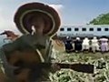 Amish Paradise - Daan s Way | BahVideo.com