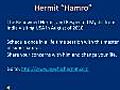 Psychic-Hermit | BahVideo.com