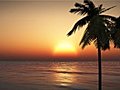 1070 Pacific Island Ocean Palm Sunset Stock  | BahVideo.com