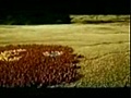 Carlton Draught beer - Big Ad commercial  | BahVideo.com
