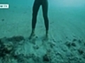 Diving sensation | BahVideo.com