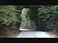 Wrigley Arch | BahVideo.com