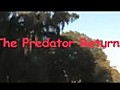 Mr Pregnant the Predator Returns  | BahVideo.com