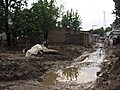 Inondations au Pakistan 3 2 millions de  | BahVideo.com