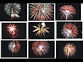 Fireworks Display and My Scarlet Macaw Talking | BahVideo.com