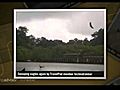 Monkey island - Langkawi Malaysia | BahVideo.com