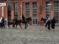 Abandoned horses in Ireland | BahVideo.com