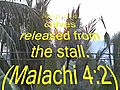 Free Christian HQ Video Clip 10- Malachi 4 2 | BahVideo.com