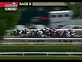 Funny Pirate Horse Wins Race | BahVideo.com