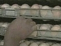 Restaurant illness linked to egg recall | BahVideo.com