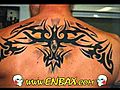 Ideal Tribal Tattoo Designs | BahVideo.com