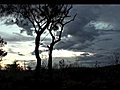 Karijini Trailer | BahVideo.com