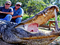 Louisiana s Alligator Hunter | BahVideo.com