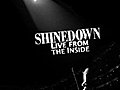 Shinedown Live From The Inside | BahVideo.com