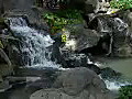 Royalty Free Stock Video HD Footage Lush Waterfall and Fountain on the Beach at Waikiki in Hawaii | BahVideo.com