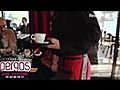 La Compagnie des Pergos - Restaurant Toulouse  | BahVideo.com