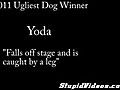 World s Ugliest Dog Falls Off Stage | BahVideo.com